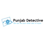 Illustration du profil de Punjab Detective